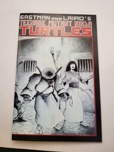 Teenage mutant ninja turtles - teenage,
