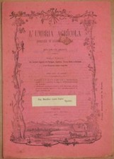L'UMBRIA AGRICOLA 15 30 LUGLIO 1890 VINI MOSTO STALLONE MELTON VITE PERONOSPORA