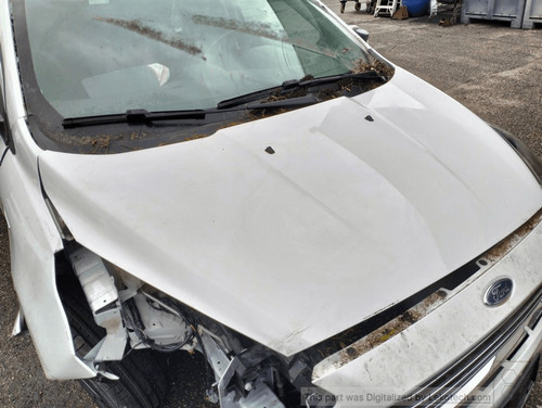 2015101 cofano ant - 2015101,