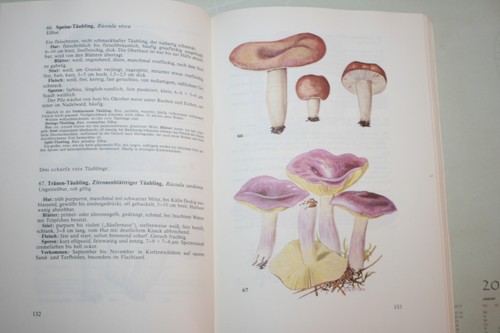 Libro tascabile per