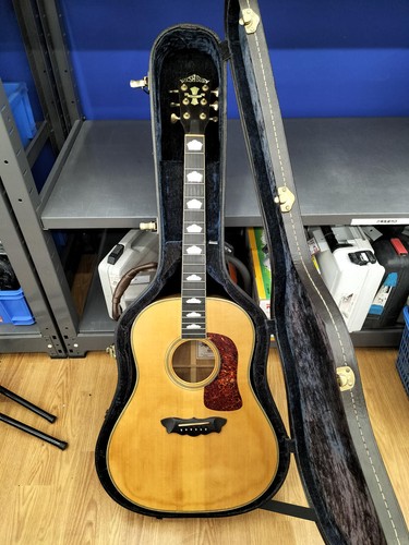 Washburn d56sw savannah - washburn,