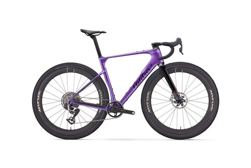 Bici carbonio gravel - in,
