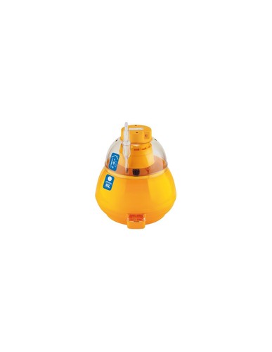 Incubatrice covatutto 16l - incubatrice,