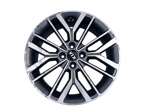 Cerchio lega kia rio - in,
