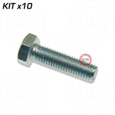 VITI BULLONI CON TESTA