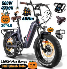 FAFREES F20 Master Bicicletta