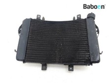 Radiatore KTM 690 Duke