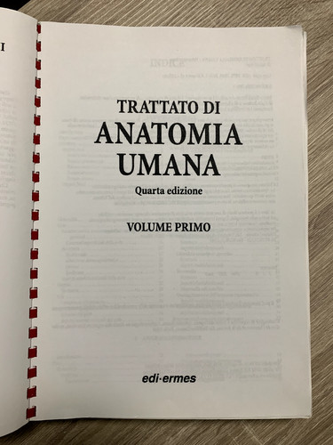 Giuseppe anastasi anatomia - giuseppe,