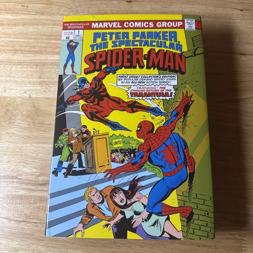 The spectacular spider man - the, spider-man