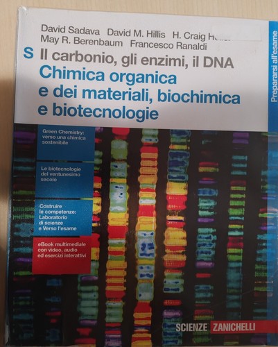 Carbonio gli enzimi il - il, enzimi,