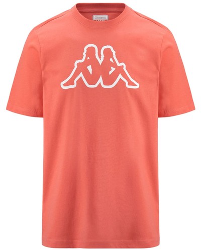 Shirt maglia maglietta uomo - , t-shirt