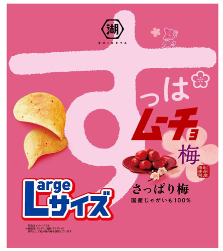 Koikeya suppa mucho japanese - suppa,