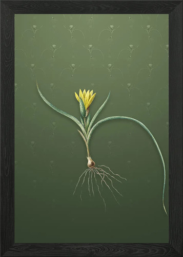 Quadro stampa tela poster - su,