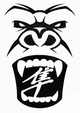 HAYABUSA  MOTORCYCLE  DECAL