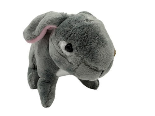 Peluche coniglio grigio - coniglio, con