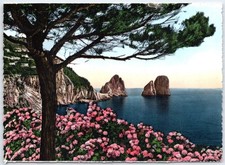 Cartolina d'epoca Capri Italia