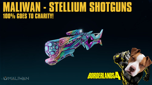 Lvl borderlands fucili - lvl, 4