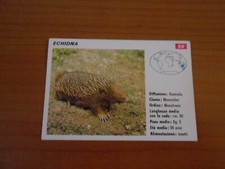 FIGURINA COLLEZIONE SCHEDE