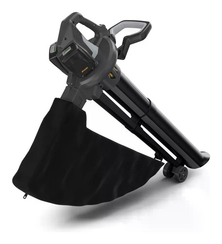 Aspirafoglie 20v 2 - aspirafoglie,