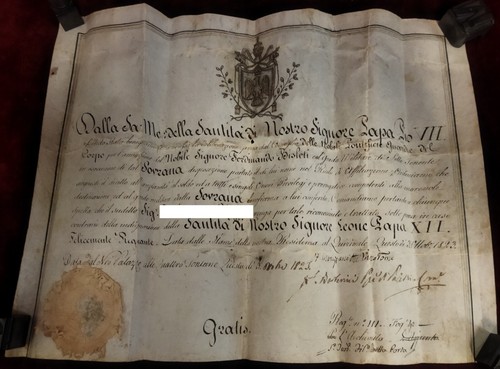 Documento pergamena papa - documento,