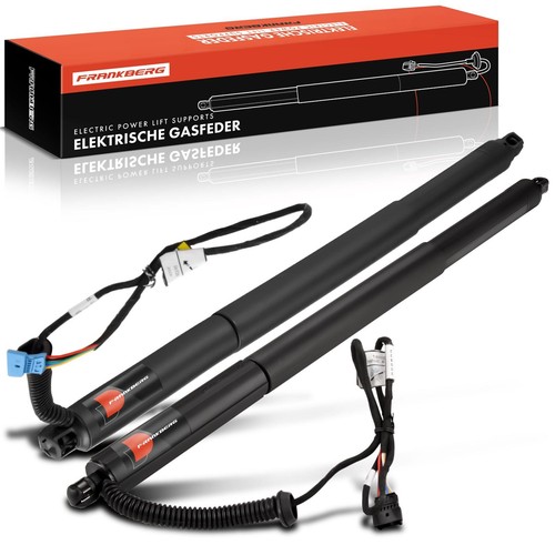 Supporto gasfeder powerlift - 2x,