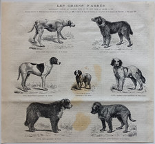 Stampa antica 1868 cani - 1868, da