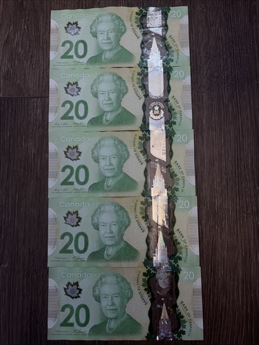 100 dollari canadesi 20 - 100,