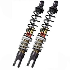 Coppia ammortizzatori