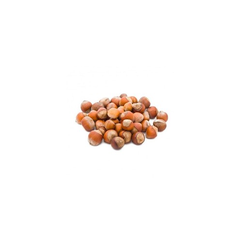 Nocciole guscio italiane - in,