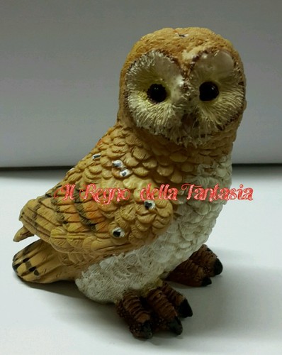 Owl chouette búho eule - bÚho, eulen
