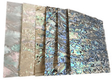 Fogli Conchiglia Abalone