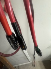 Wireworld Starlight6 pair of