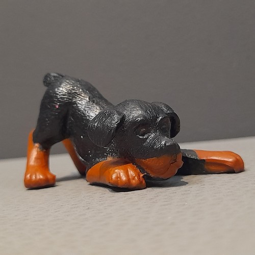 Vintage rottweiler puppy dog - vintage,