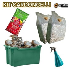KIT FUNGHI CARDONCELLI - 2