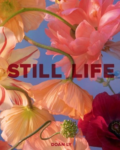 Still life doan - life,