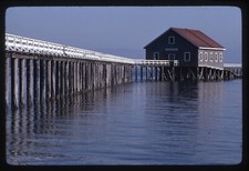 Sl85 Original Slide  1967