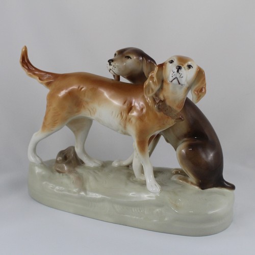 Cani caccia royal dux - cani,