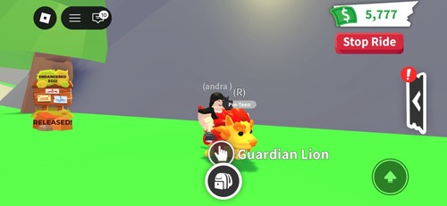 Guardian lion adopt - adopt, virtual