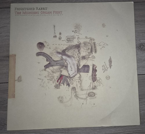 Frightened rabbit the midnight - rabbit,