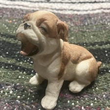 Small English Bulldog Dog