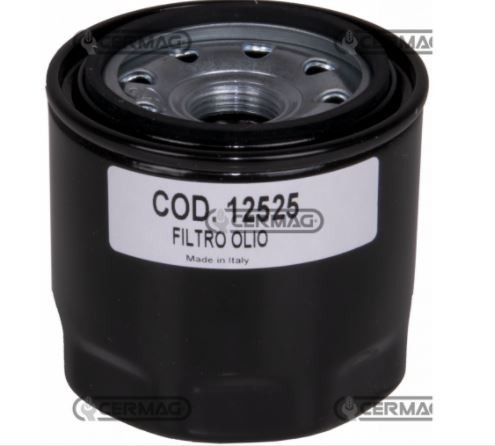 Filtro olio per motore