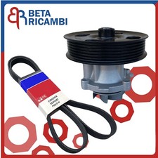 Cinghia  Pompa Acqua Fiat