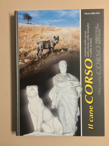 Cane corso the dog - corso, di