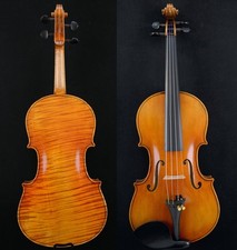 1 pz violino posteriore