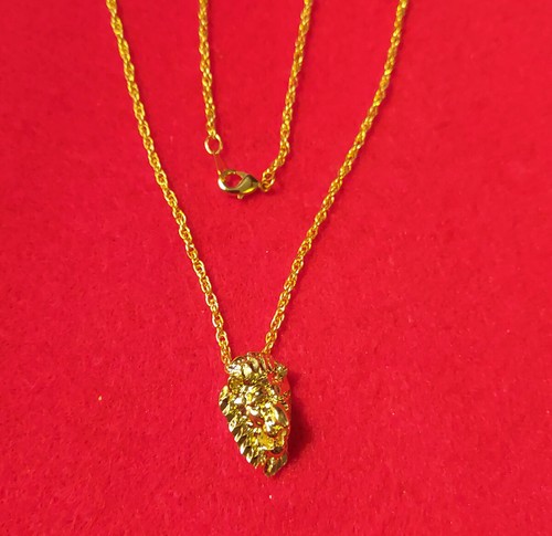 14kt placcato oro leone - 14kt,