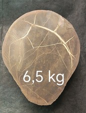 SEPTARIA GREZZA 6,5 KG MINERALI COLLEZIONE CRISTALLOTERAPIA ARREDAMENTO