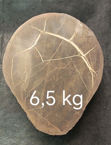 Septaria grezza kg - septaria,