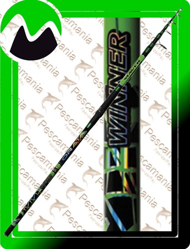 Canna maver winner - winner, surf