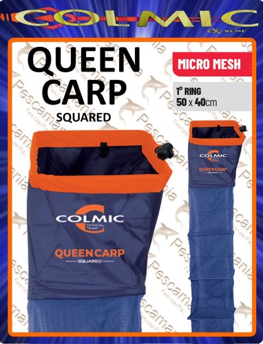 Nassa colmic queen carp - nassa,