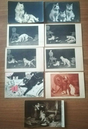 Cartoline epoca gatto - d',